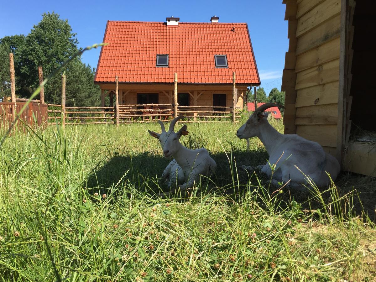 Wypoczynek Na Mazurach U Sebka Villa Łukta Exterior foto